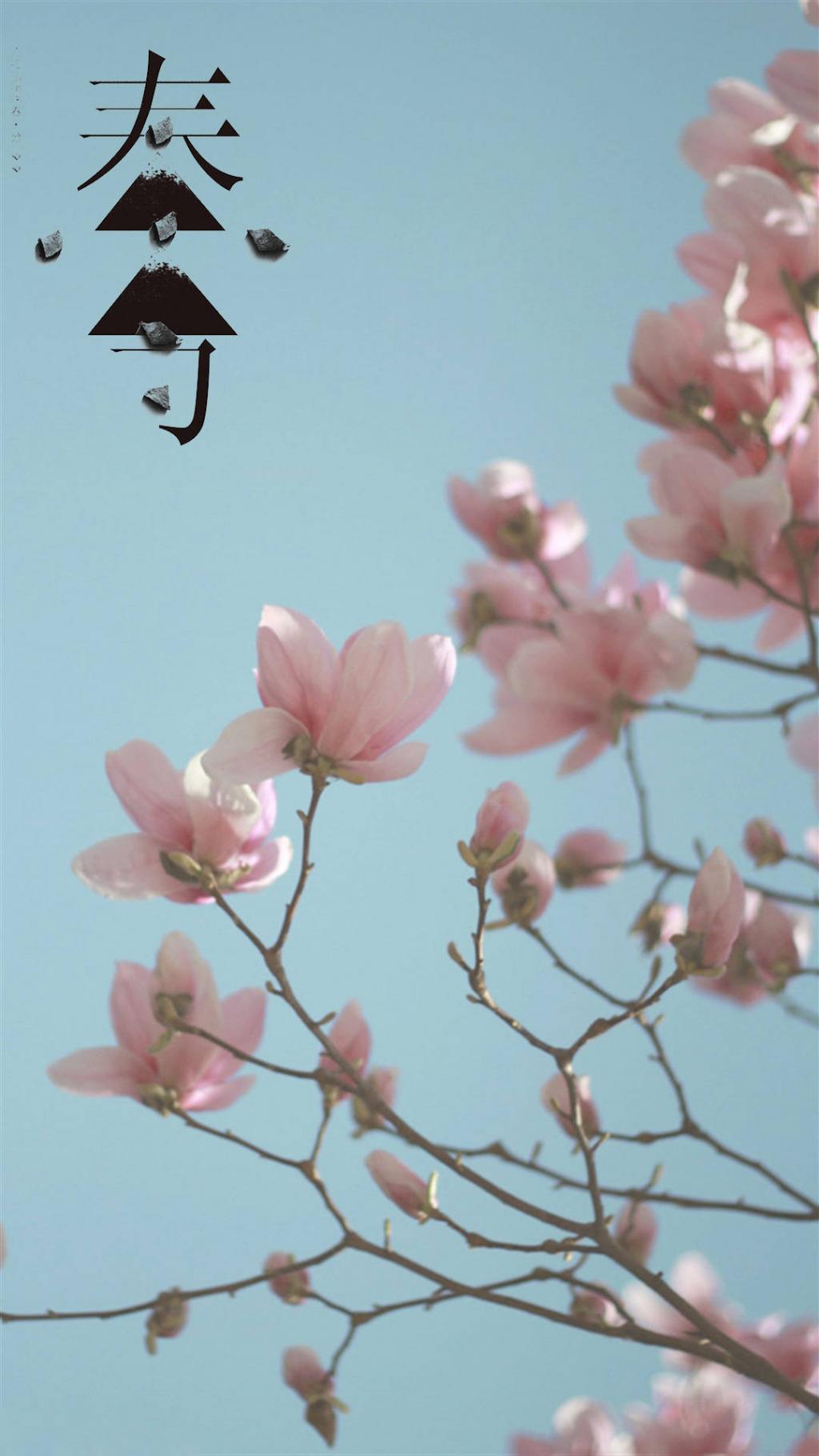 二十四节气之春分