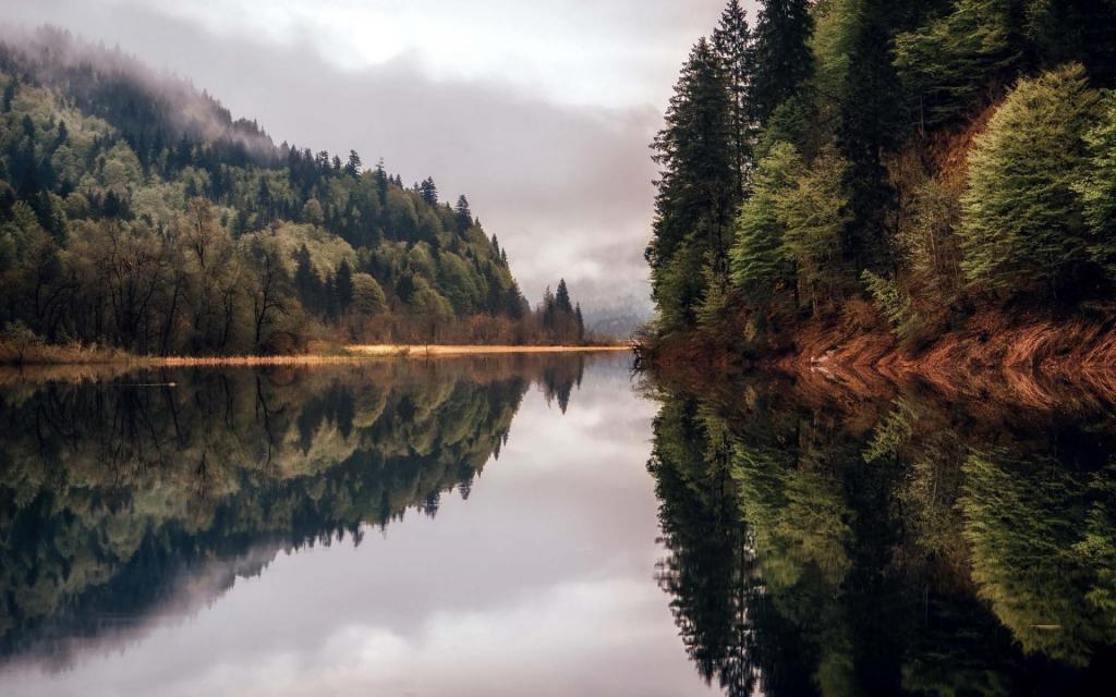 清新的自然风光