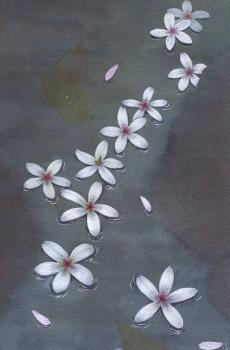 古风花卉插画-3