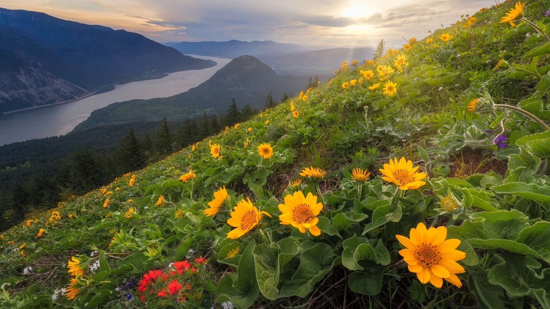 美国哥伦比亚峡谷风景