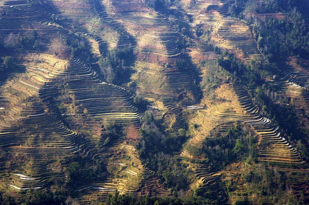 壮观的山间梯田