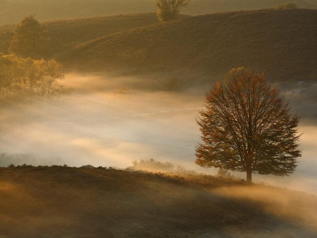 纵观世界风云，风景这边更好
