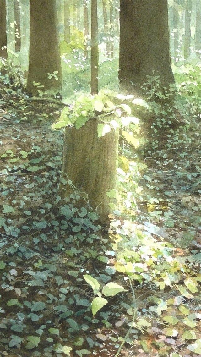 小清新手绘风景护眼