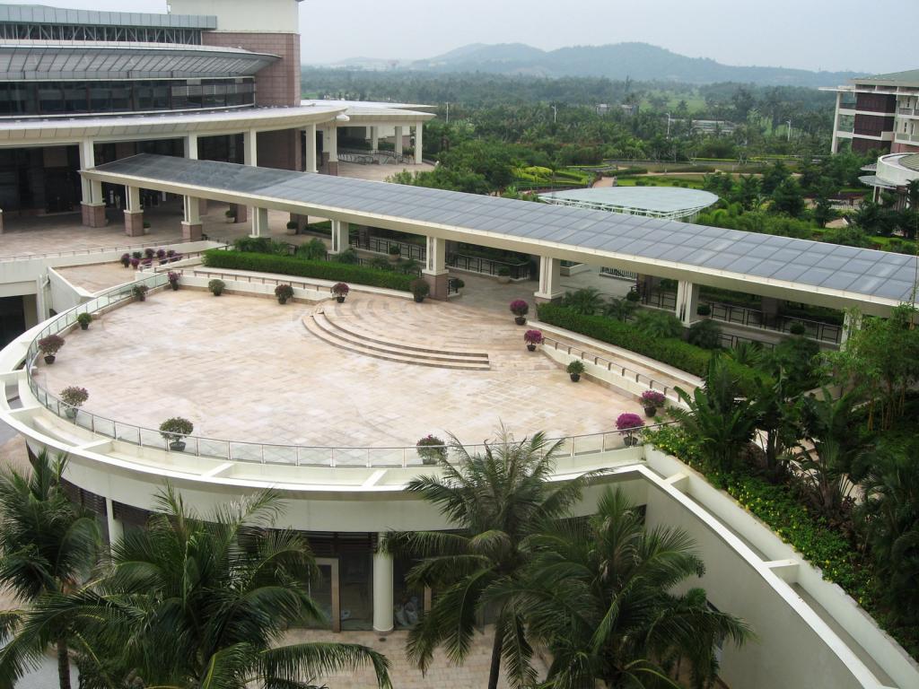 博鳌风光椰子树