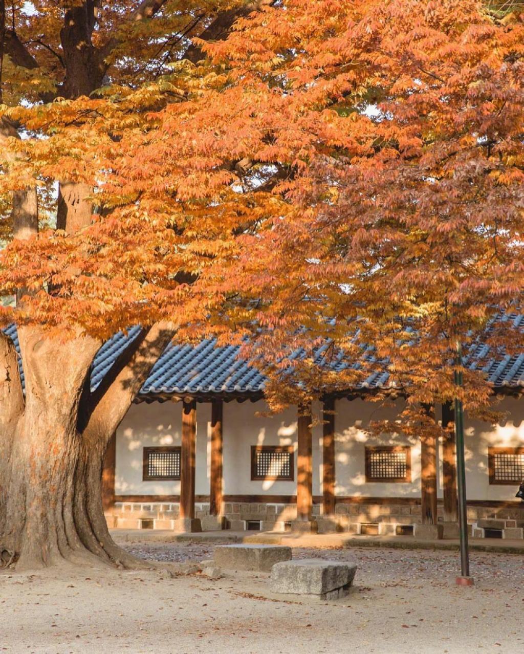 迷人秋色唯美自然风光