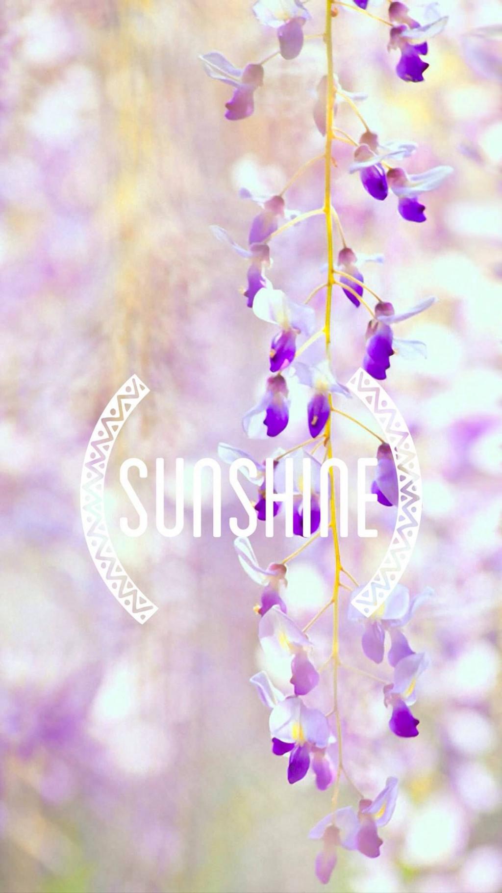 浪漫紫藤英文背景