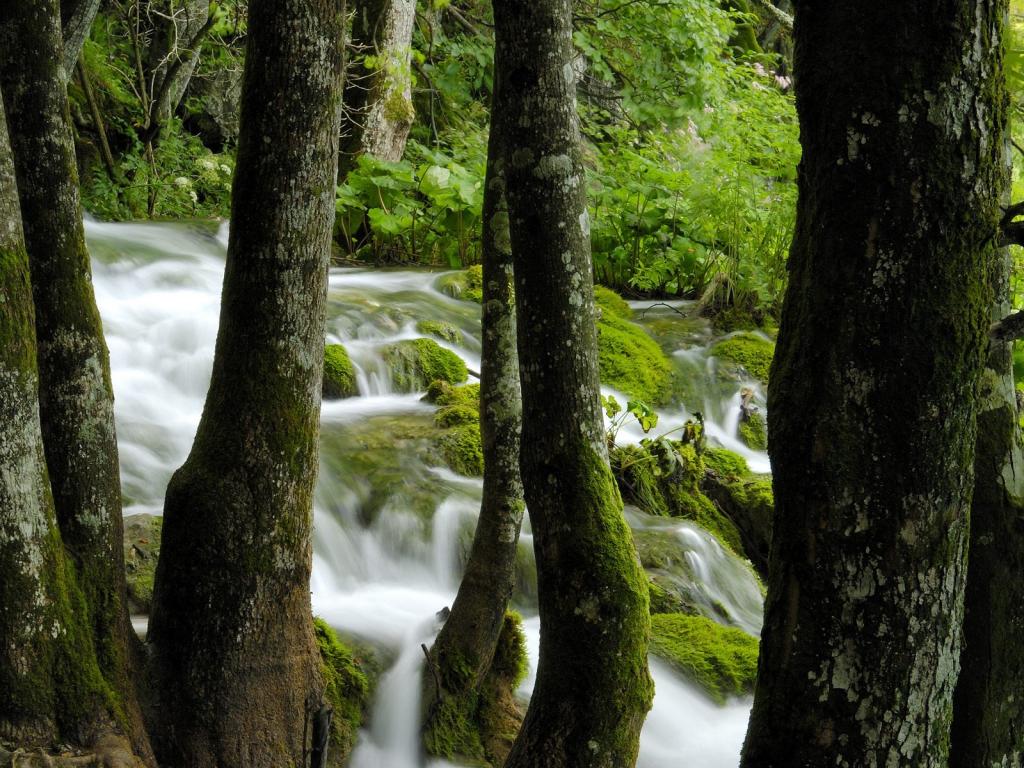山林间的瀑布美景