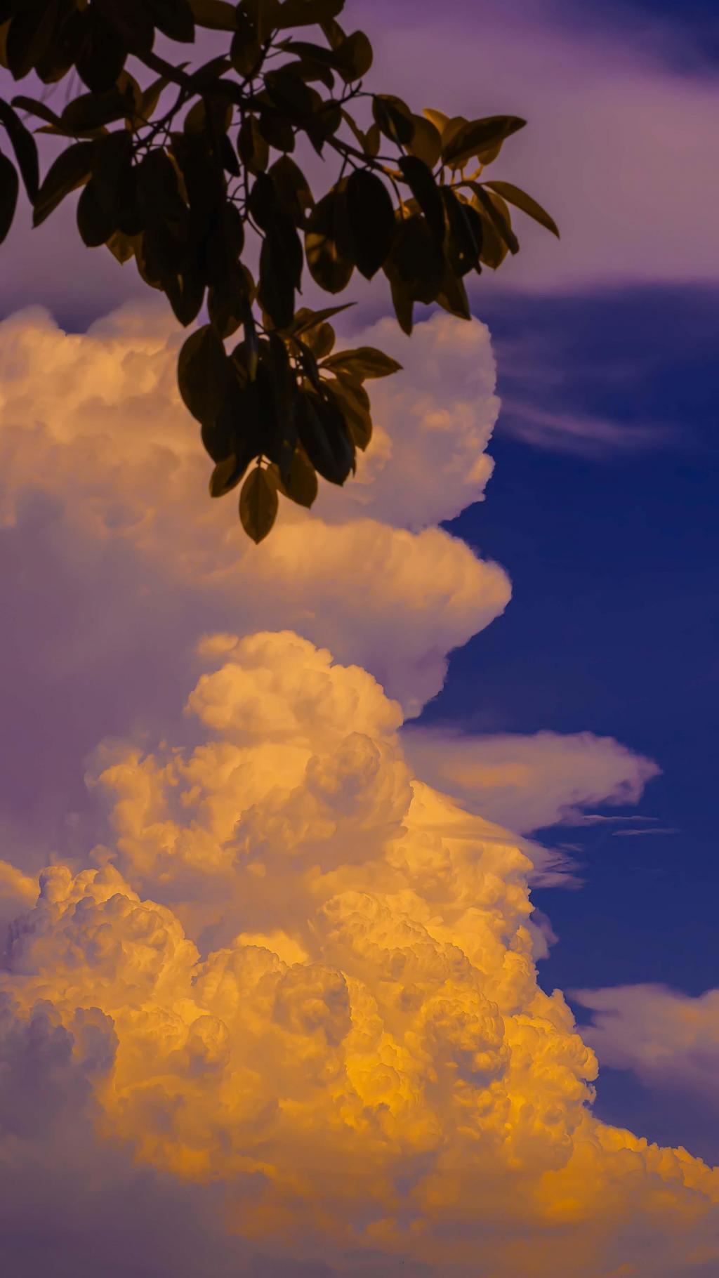 中秋节黄昏初降梦幻唯美自然风光