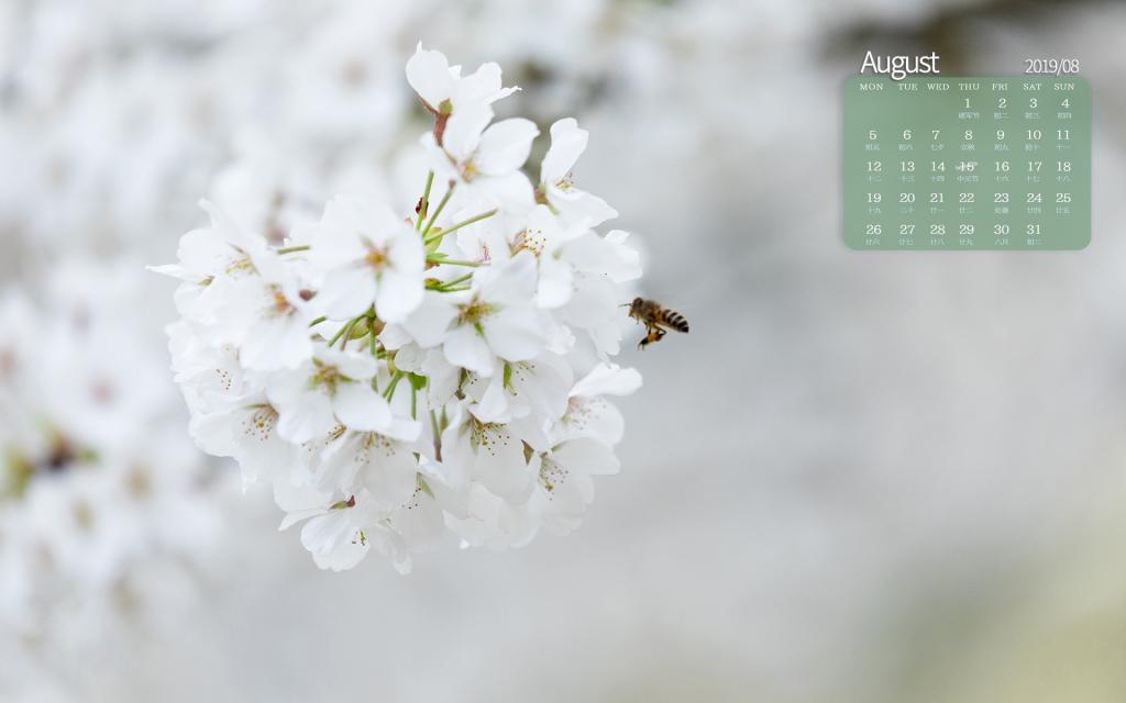 2019年8月各种小清新味道日历