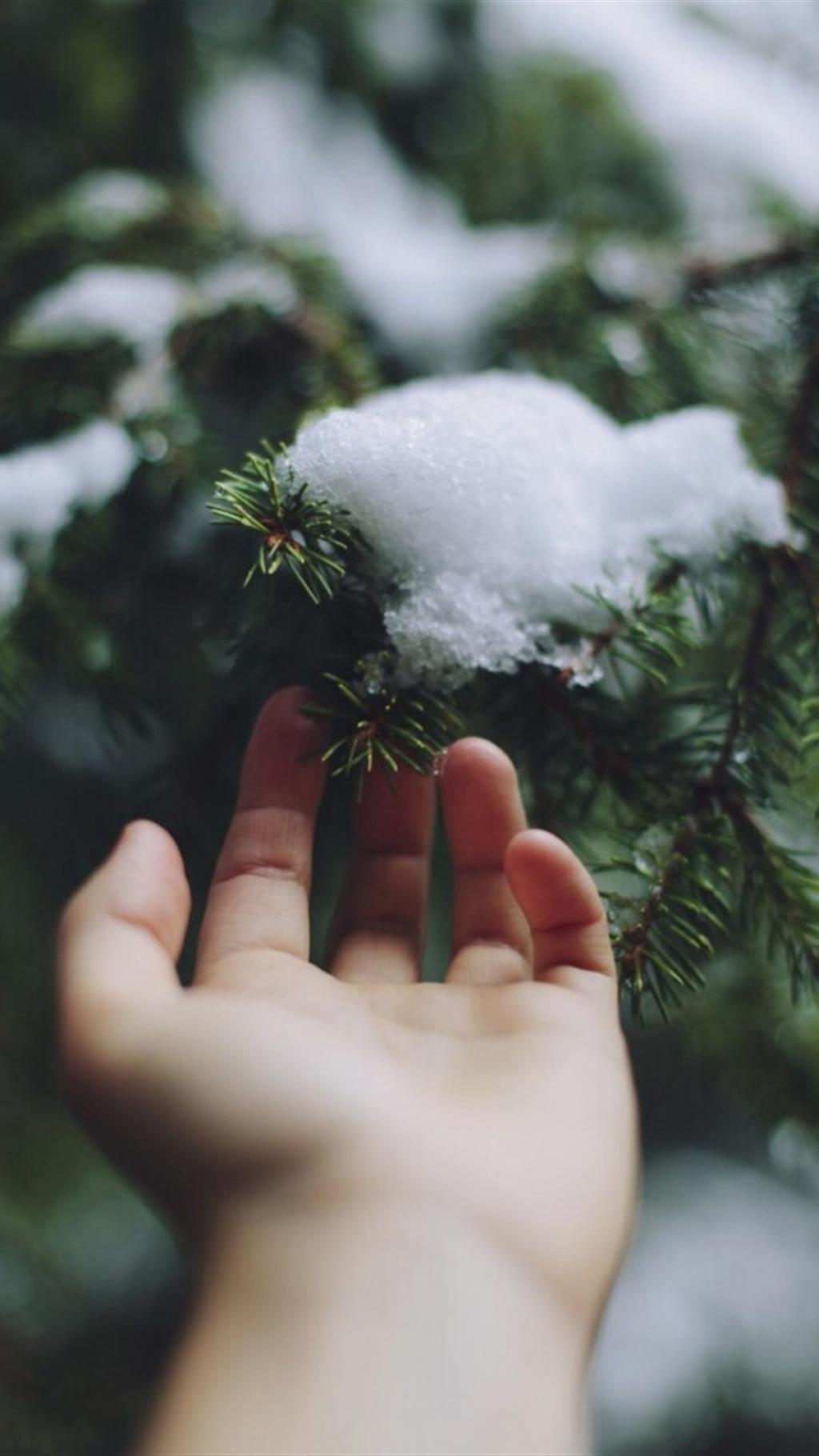 高清植物摄影锁屏