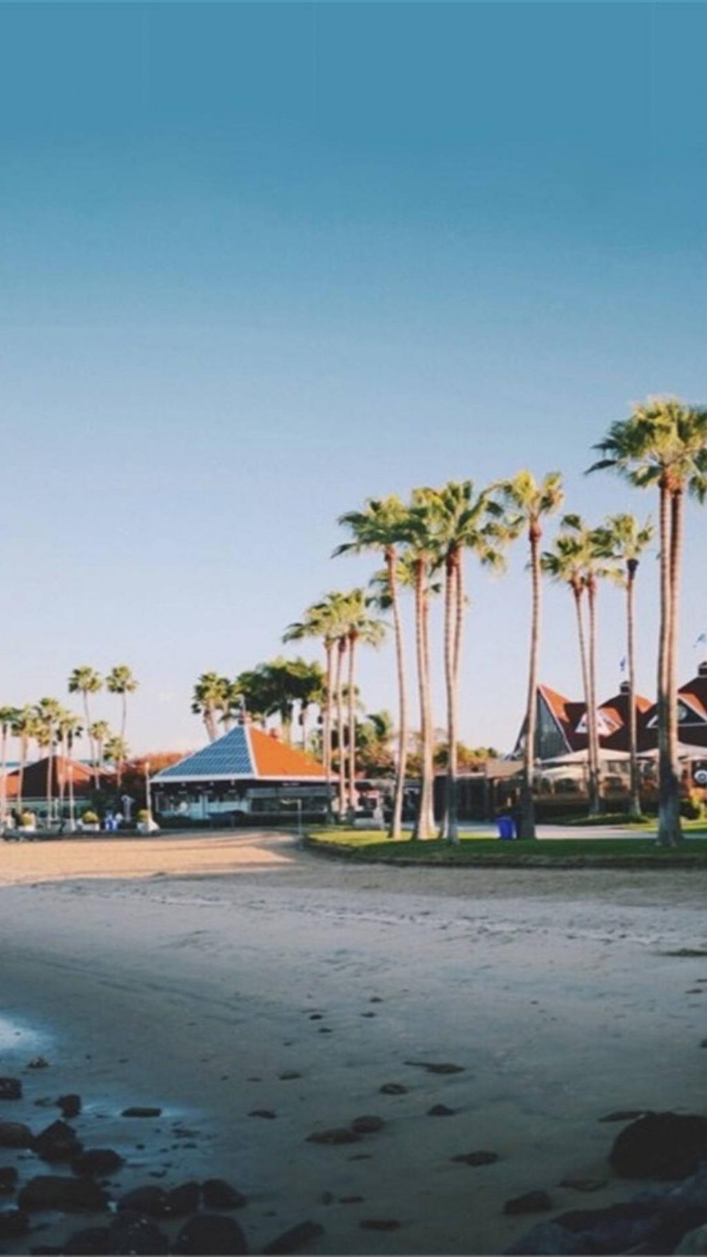 夏日小新清唯美海边椰树