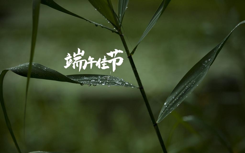 中国传统节日端午节