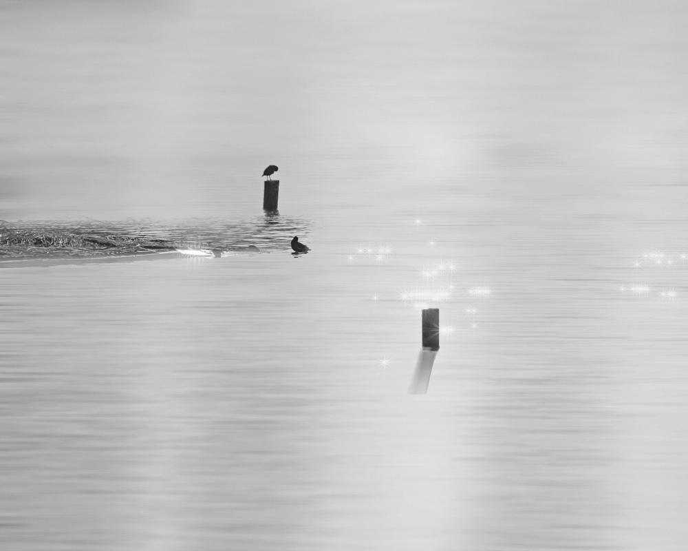 江河水黑白风光