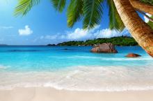 5k海滩椰树高清唯美风景