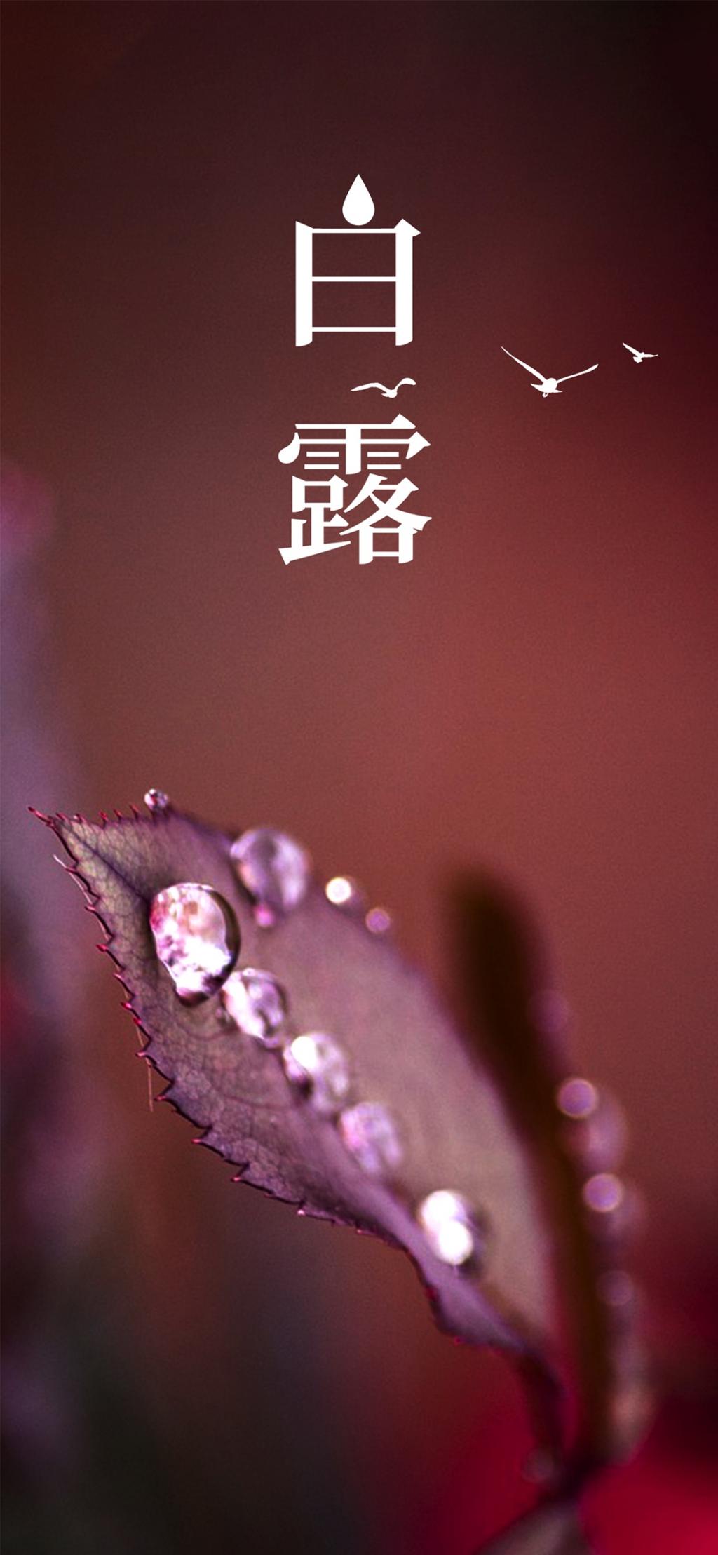 白露身不露，寒露脚不露