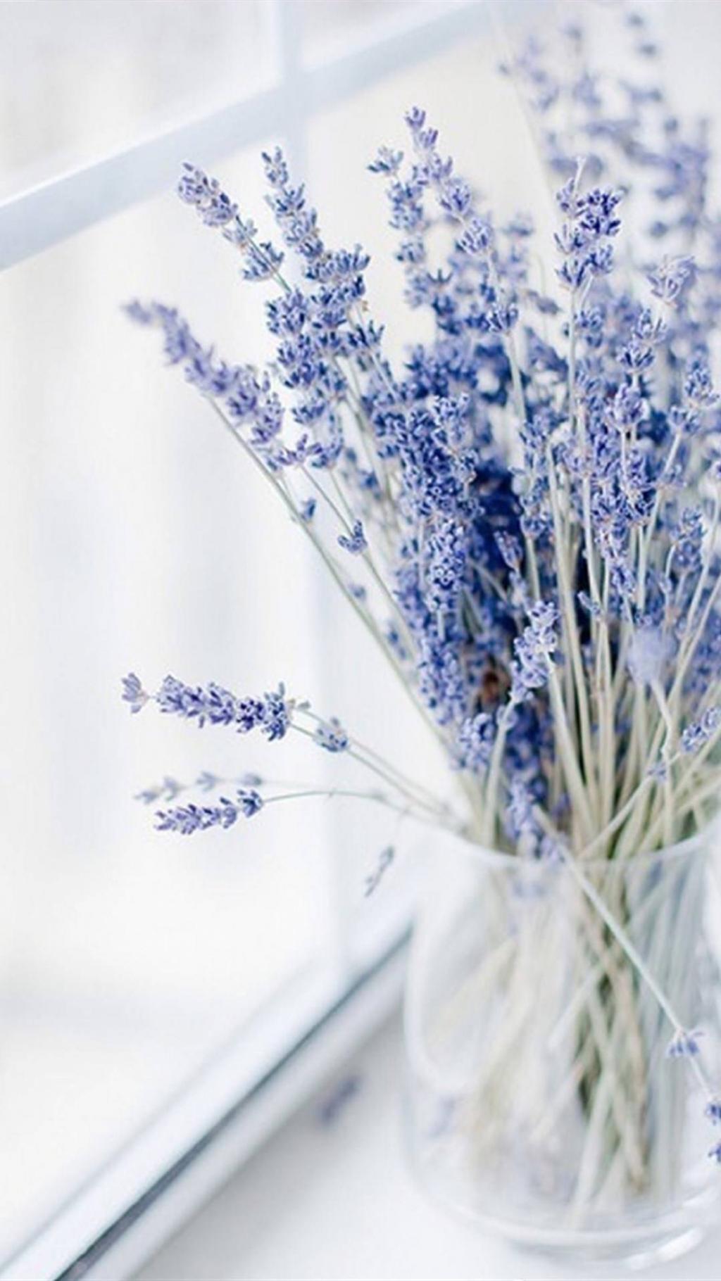 清新花卉静物摄影