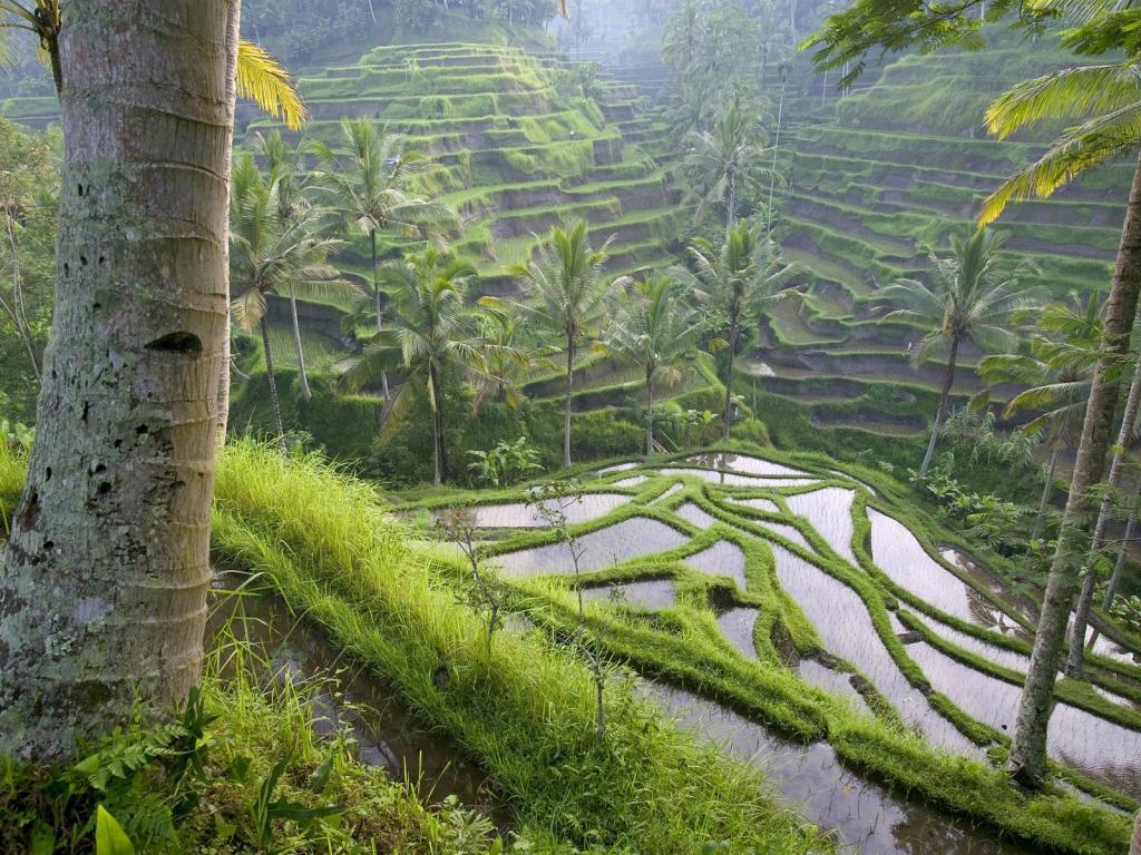梦幻山间