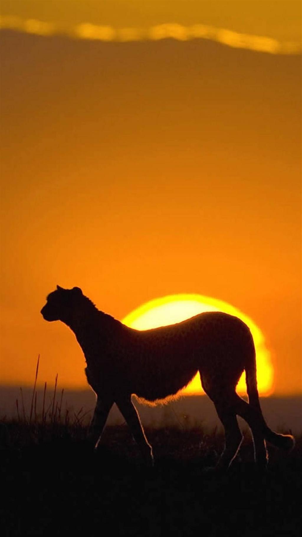 唯美黄昏日落剪影