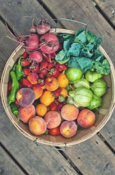 水果图片合集-5