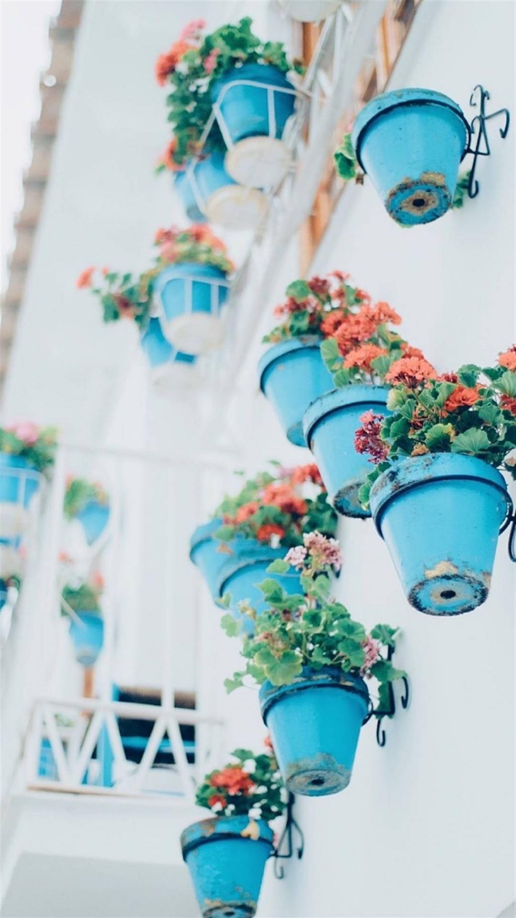 小清新风景图片大全