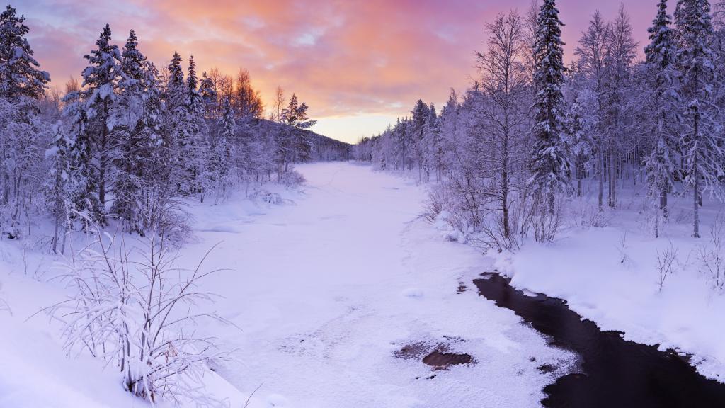 大雪纷飞的森林