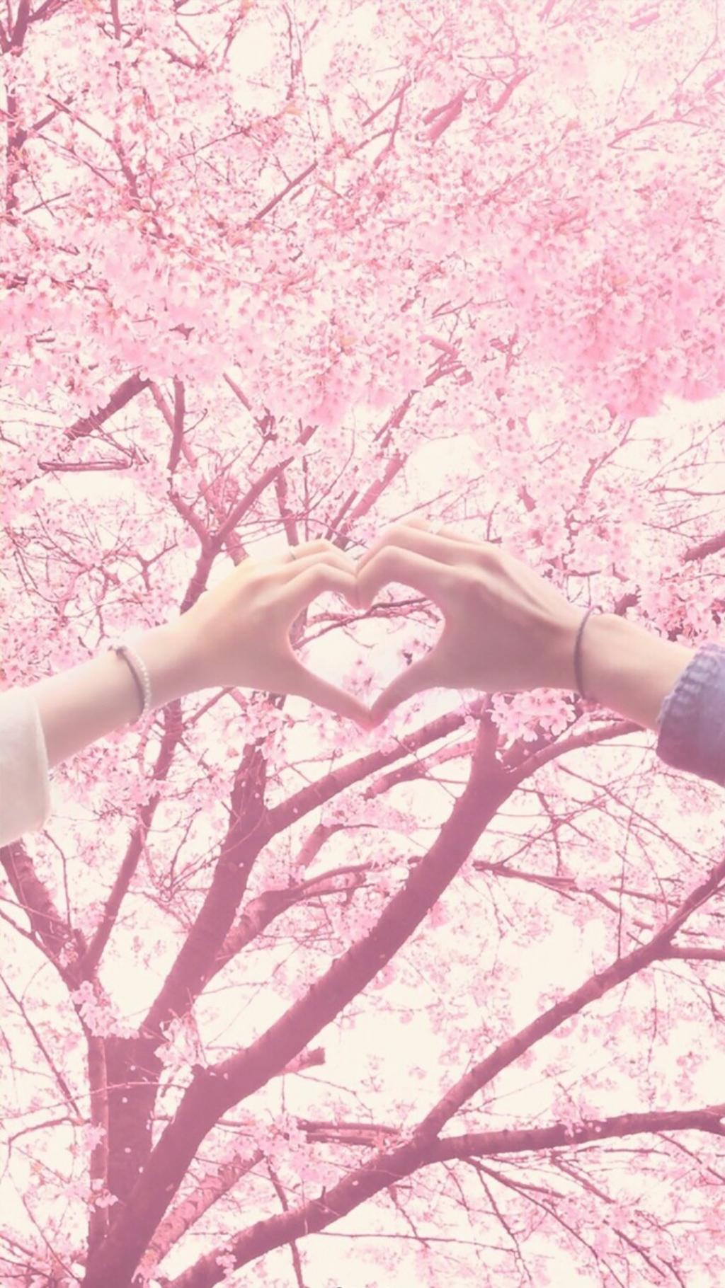 唯美淡雅植物花朵