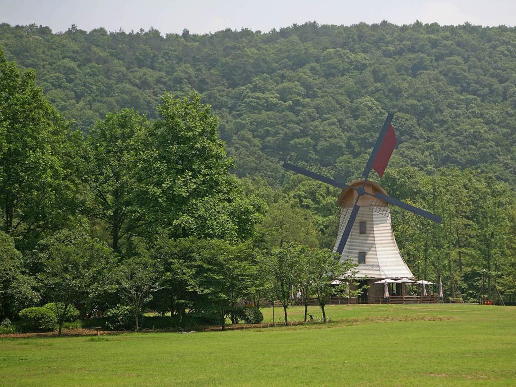 太子湾公园风光