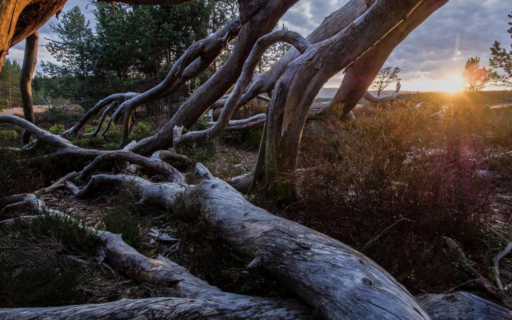 享受自然的唯美风光