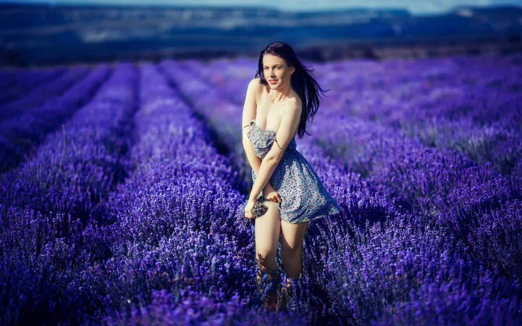 薰衣草,流淌着一缕爱的时光