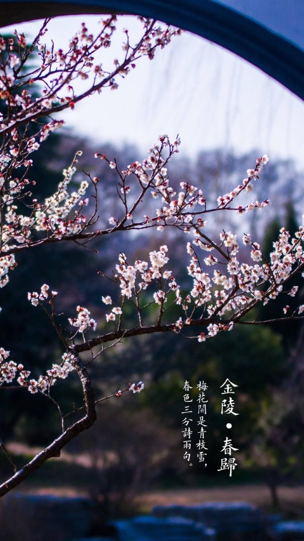 唯美风光诗词锁屏