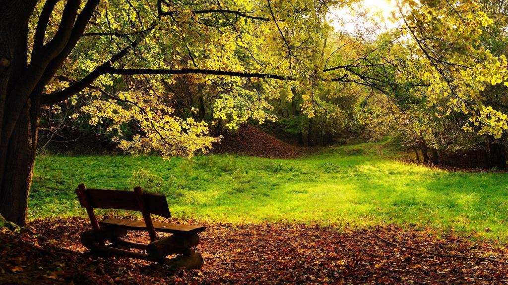 秋天的童话-秋天美丽物语