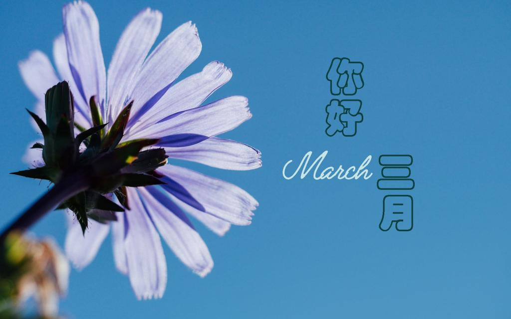 令人陶醉的三月你好