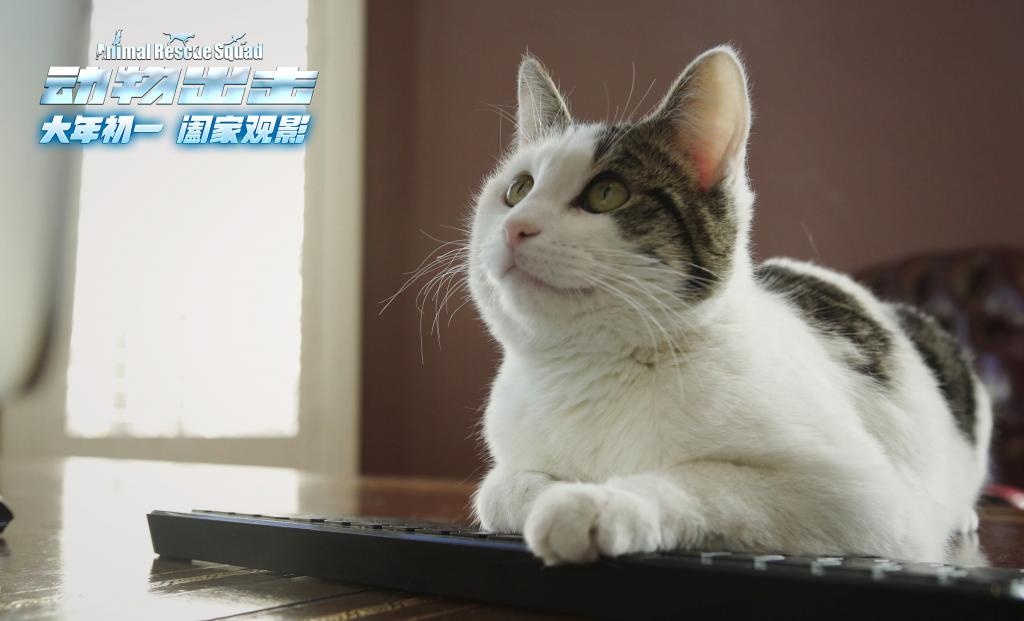 科幻冒险剧《动物出击》