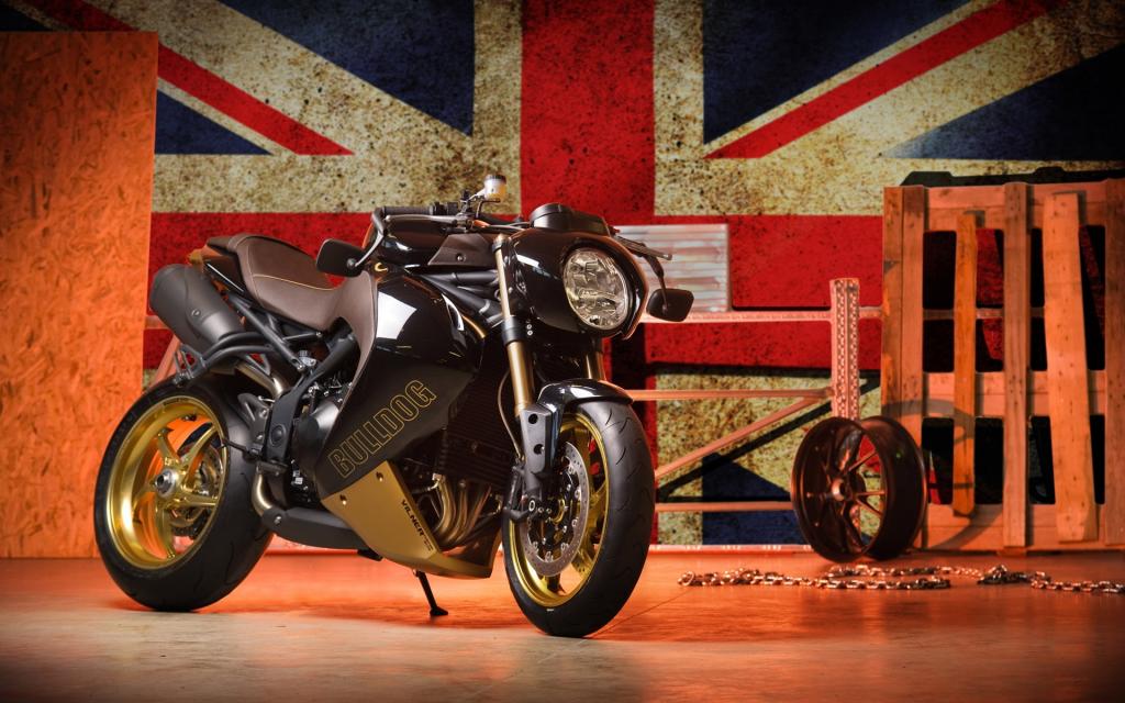 Vliner Bulldog定制版摩托车