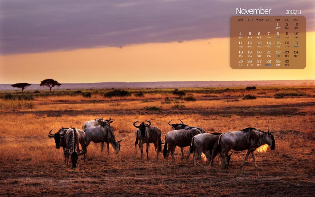 2019年11月金色非洲大草原日历