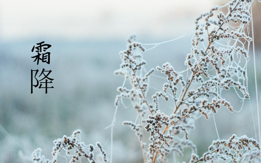霜降到了,愿一切都好