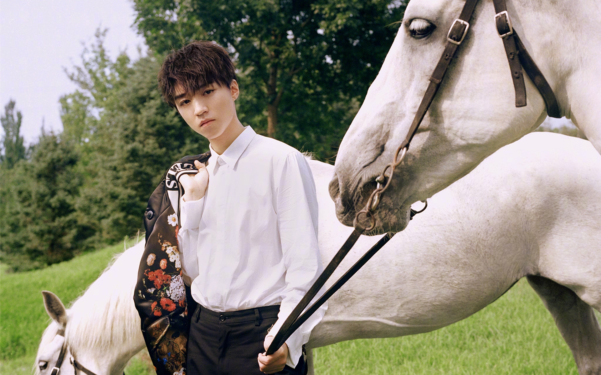 文艺帅气偶像王俊凯