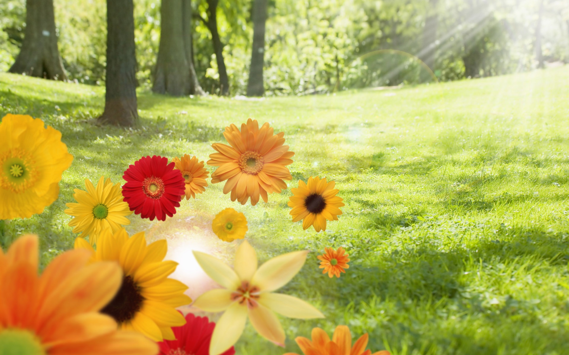 绿叶成荫绿色与自然