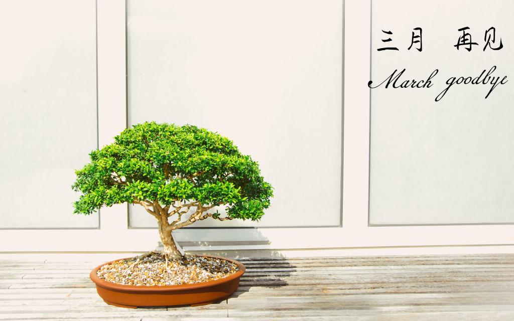 三月,明年我们再见