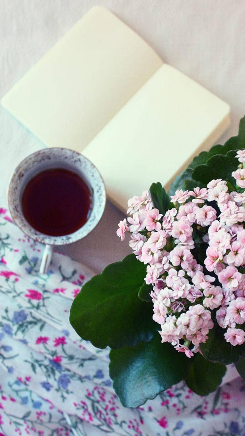 小清新静物胶片质感