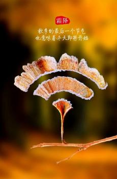 唯美二十四节气霜降文字-6