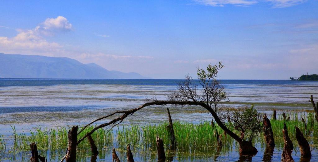 风花雪月洱海边