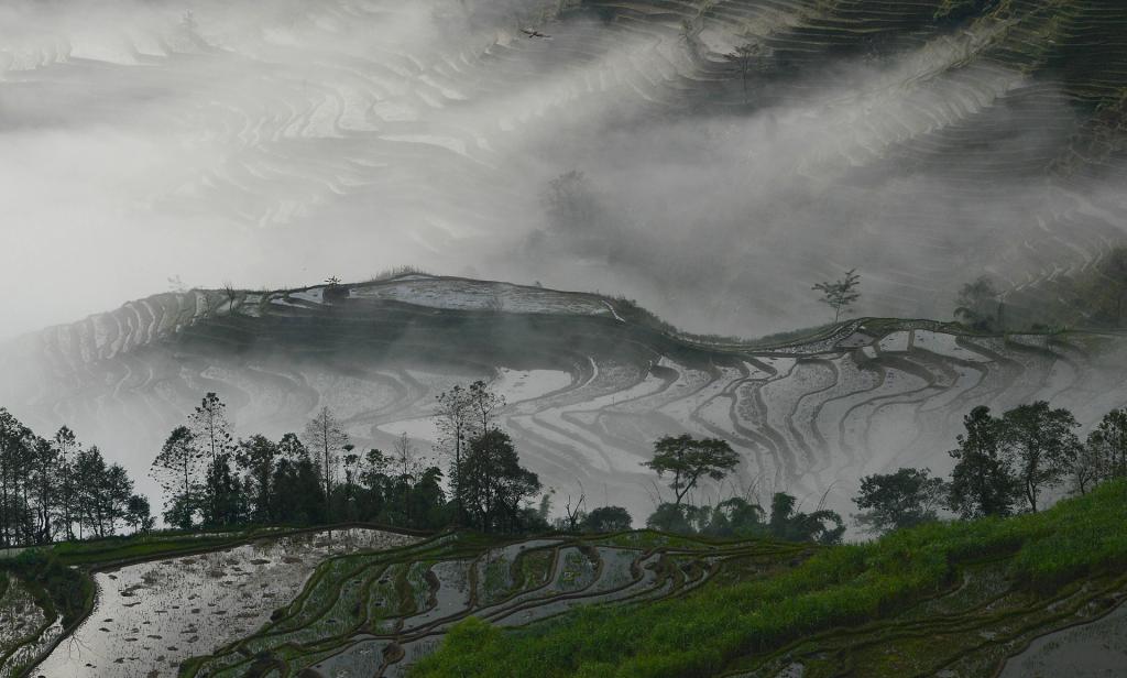 哈尼梯田唯美风光