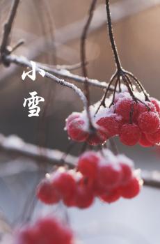 小雪分为三候-1