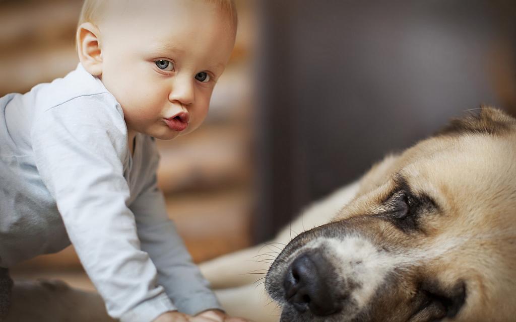 宝贝与宠物亲昵