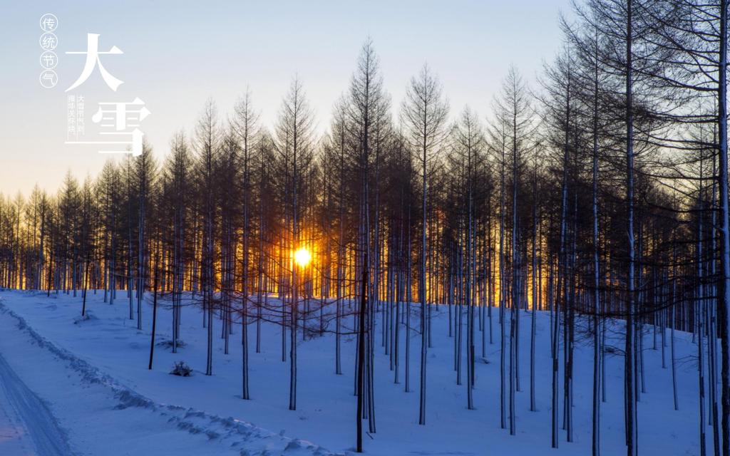 大雪时节坝上雪国塞罕坝雪后美景