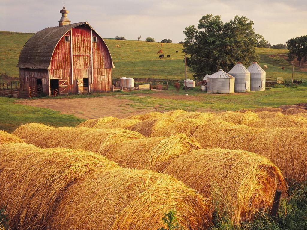 风景不转时，我们的心境便得转