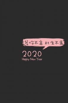 2020新的一年已到来-4