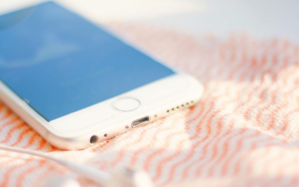 简单小清新主题静物写真