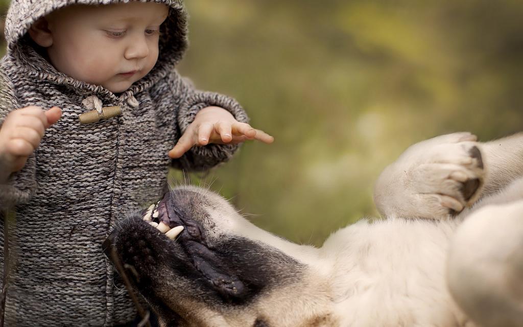 宝贝与宠物亲昵